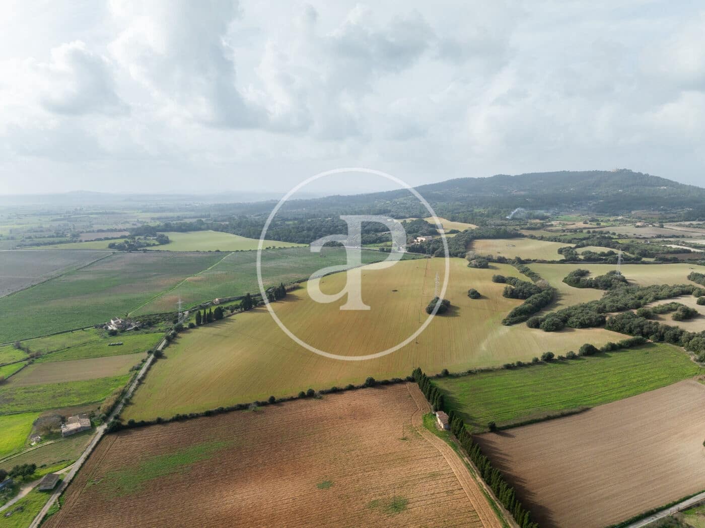 Undeveloped Land for sale in Manacor - € 990,000 (Ref: 9449204)