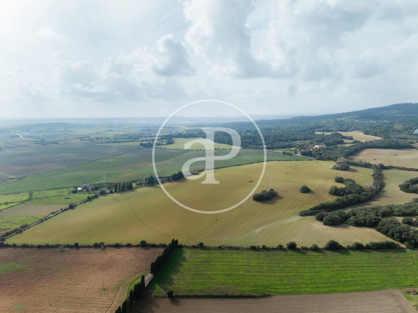 Undeveloped Land for sale in Manacor - € 990,000 (Ref: 9449204)