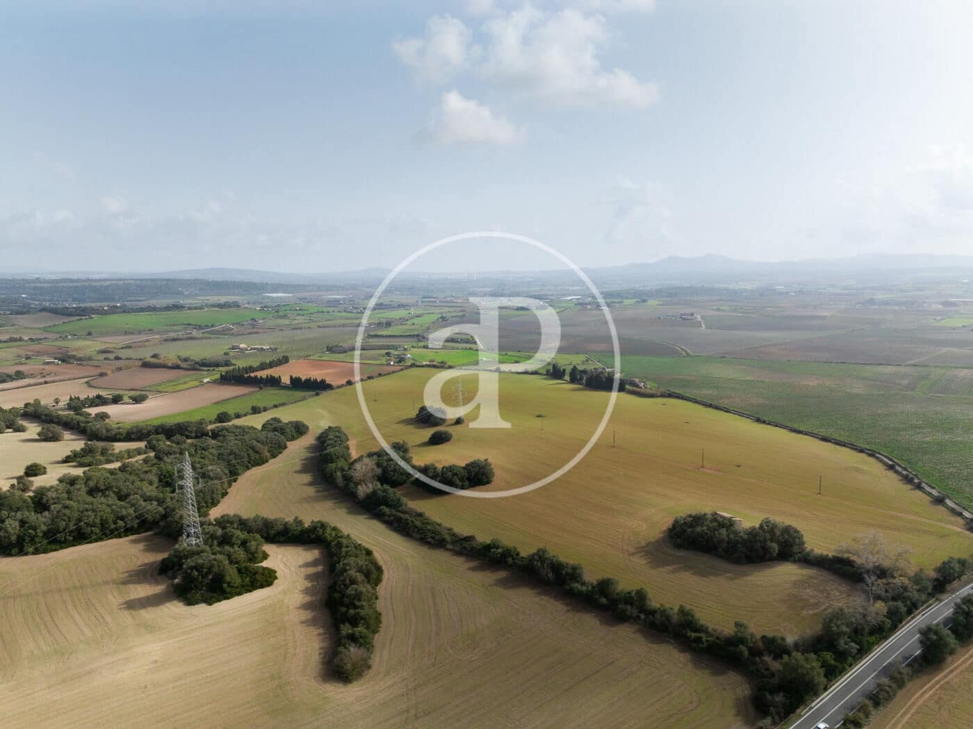 Undeveloped Land for sale in Manacor - € 990,000 (Ref: 9449204)