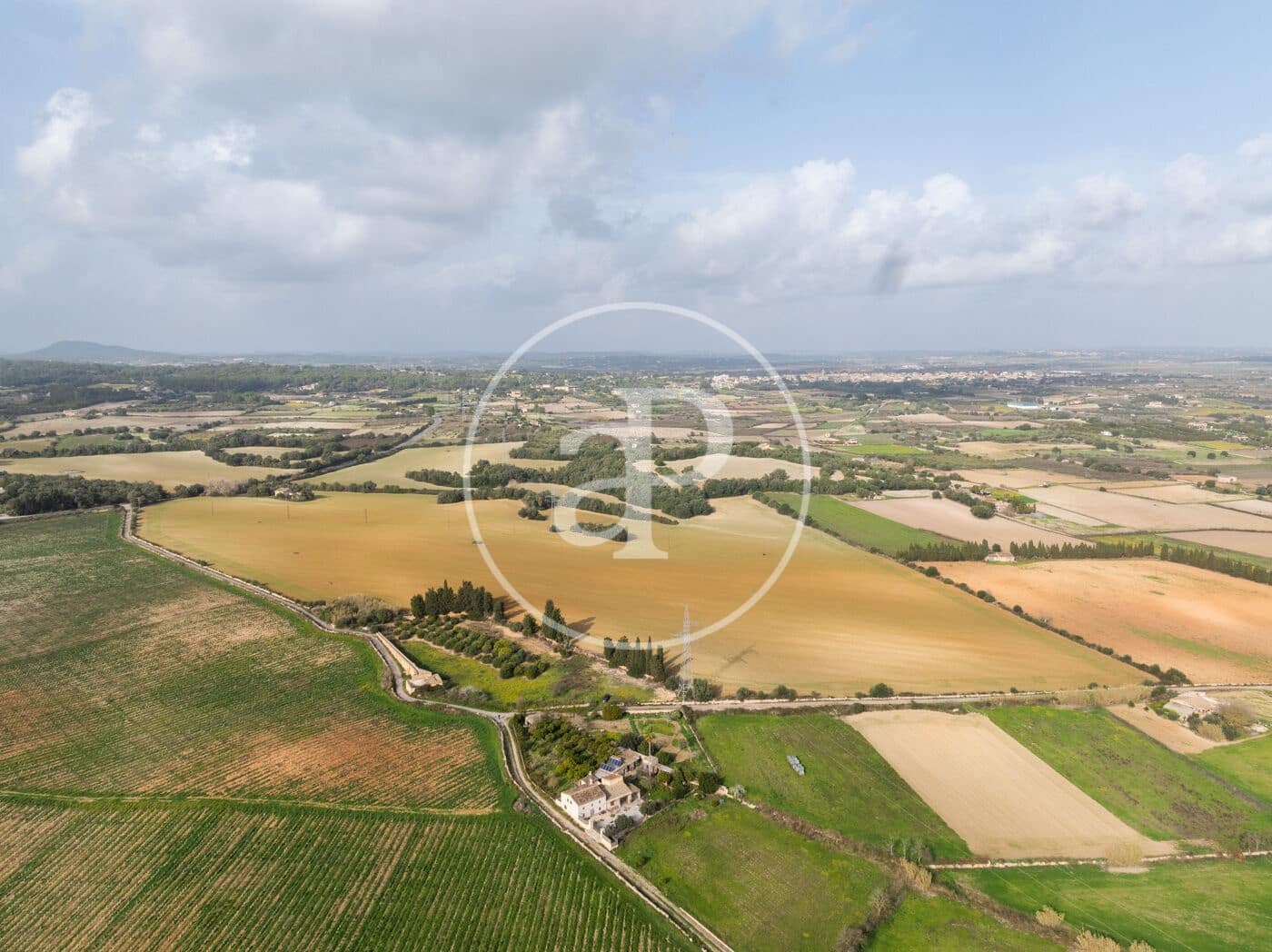 Undeveloped Land for sale in Manacor - € 990,000 (Ref: 9449204)