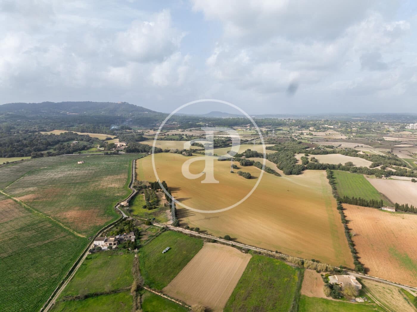 Undeveloped Land for sale in Manacor - € 990,000 (Ref: 9449204)