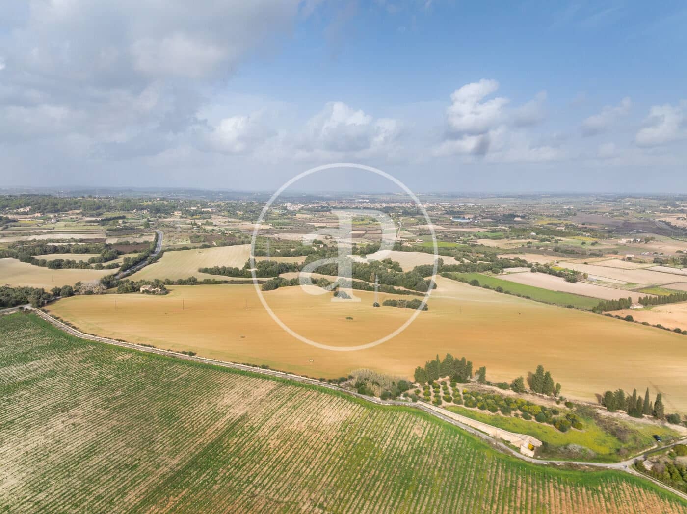 Undeveloped Land for sale in Manacor - € 990,000 (Ref: 9449204)