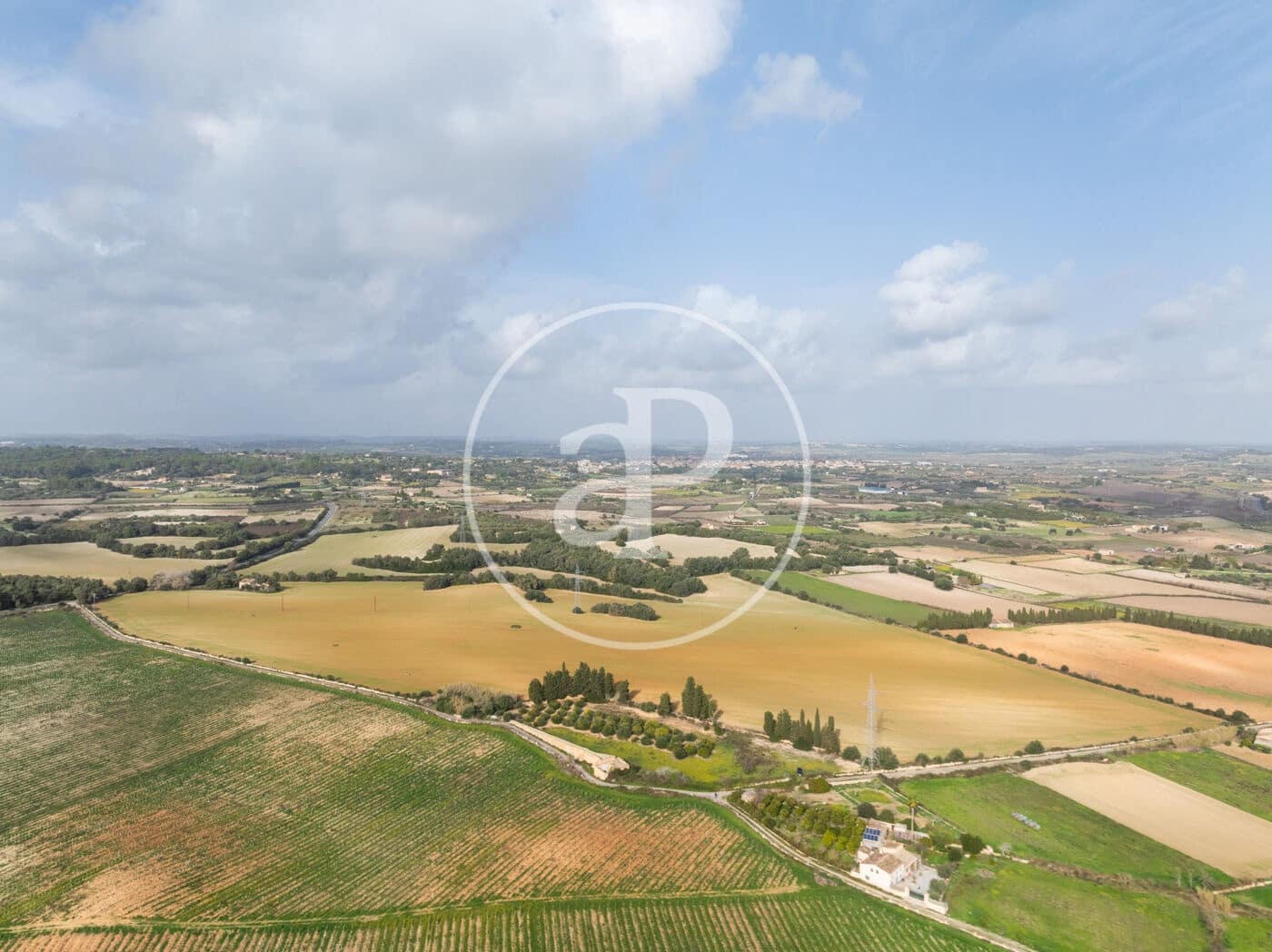 Undeveloped Land for sale in Manacor - € 990,000 (Ref: 9449204)
