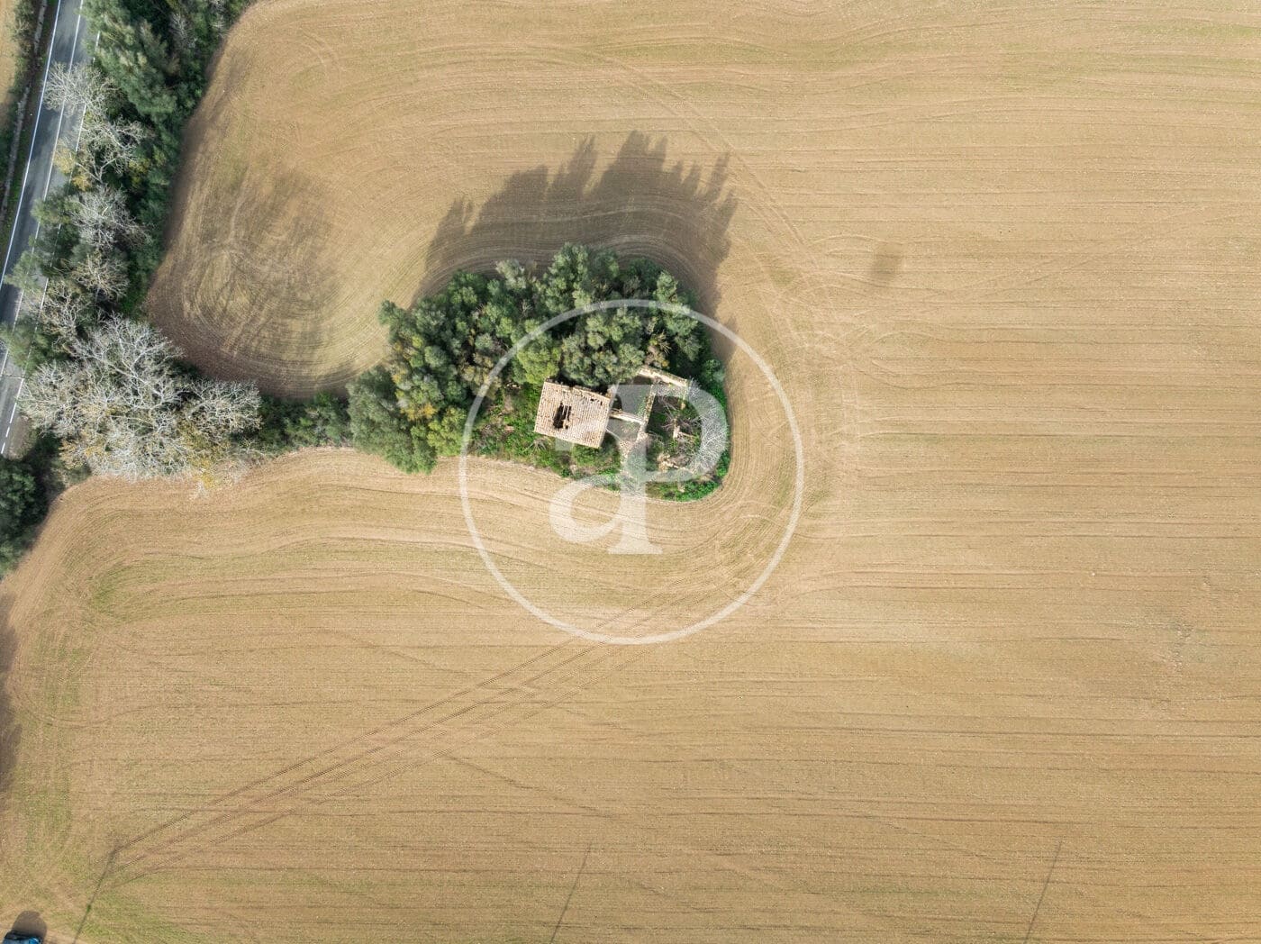 Undeveloped Land for sale in Manacor - € 990,000 (Ref: 9449204)