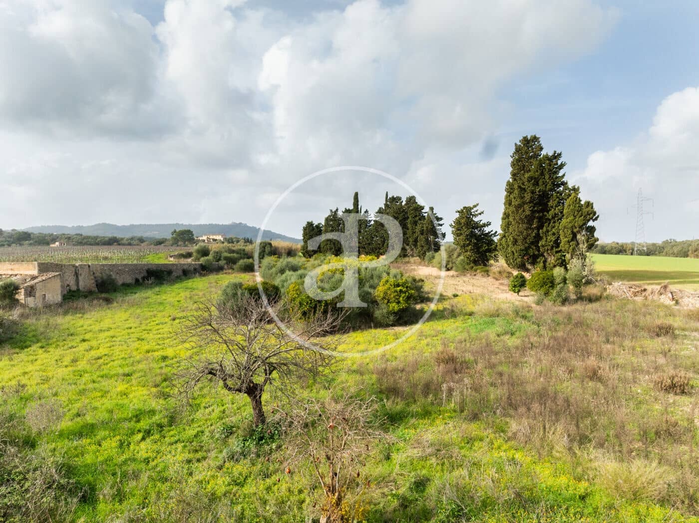 Undeveloped Land for sale in Manacor - € 990,000 (Ref: 9449204)