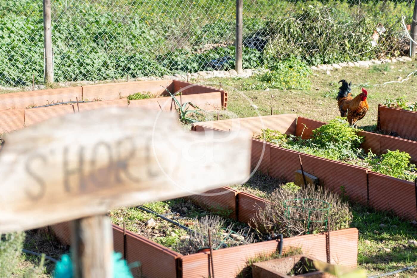 2 soverom Villa til salgs i Campanet med svømmebasseng - € 550 000 (Ref: 9535956)