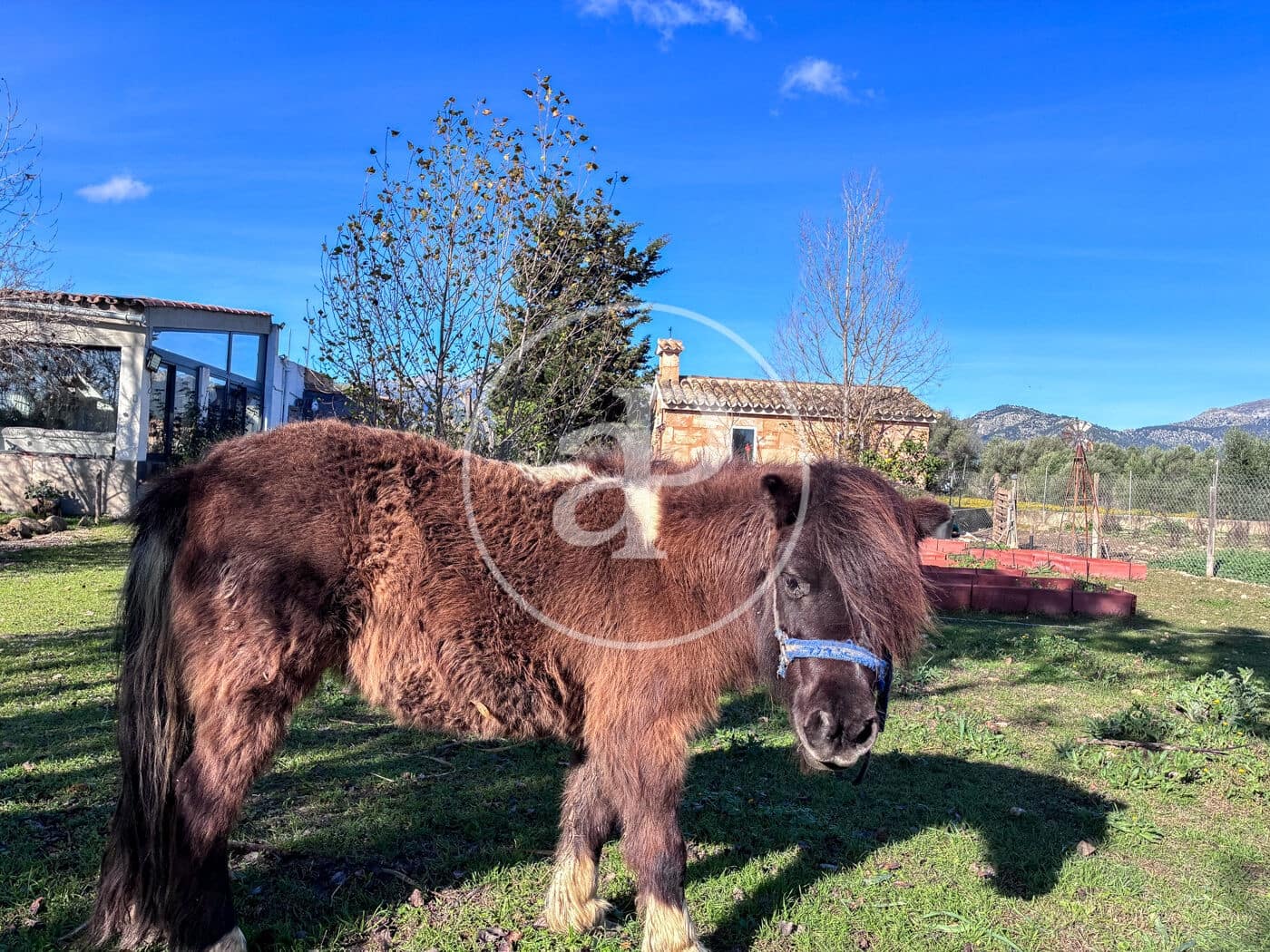 2 soverom Villa til salgs i Campanet med svømmebasseng - € 550 000 (Ref: 9535956)