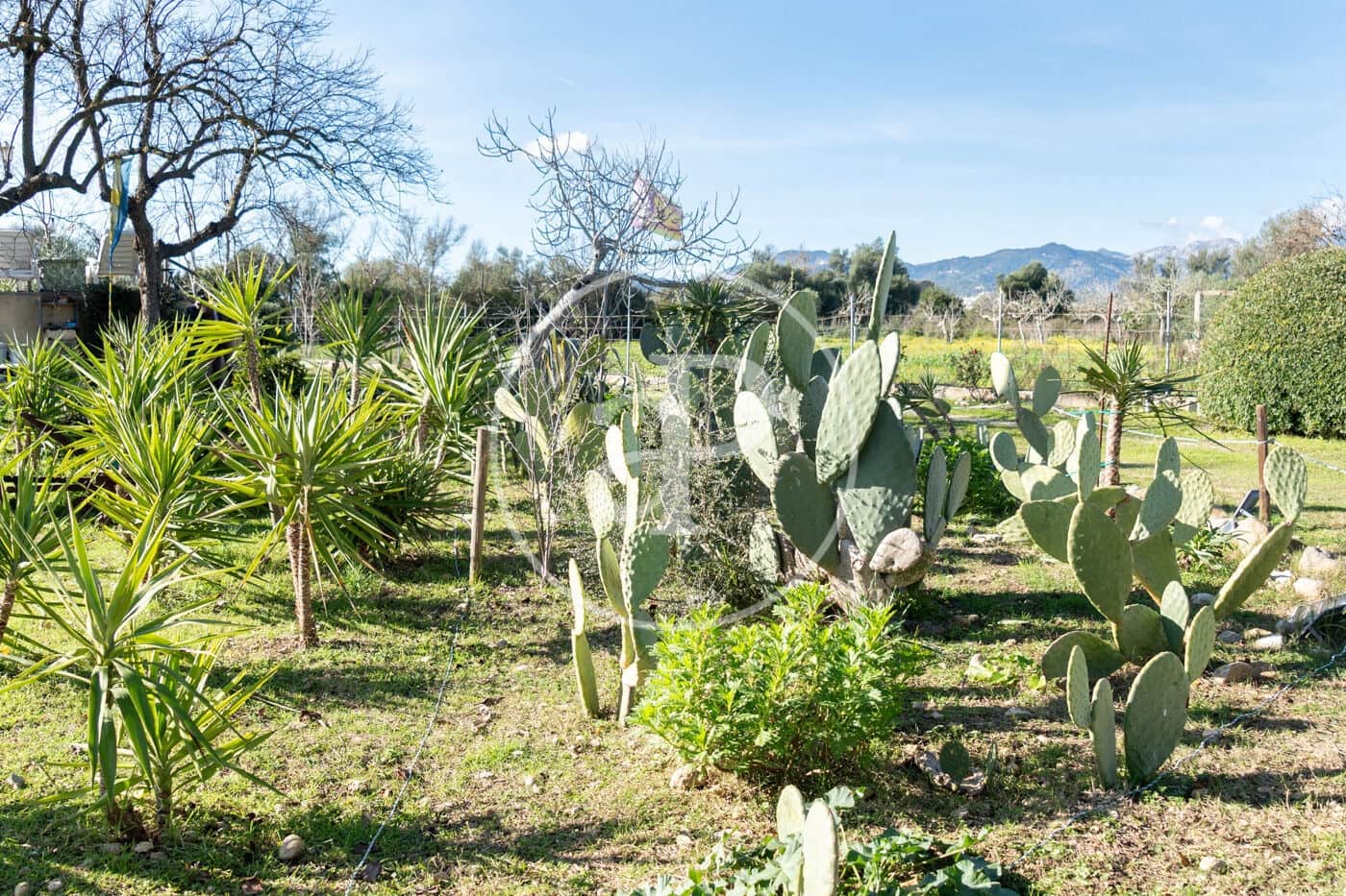 2 soverom Villa til salgs i Campanet med svømmebasseng - € 550 000 (Ref: 9535956)