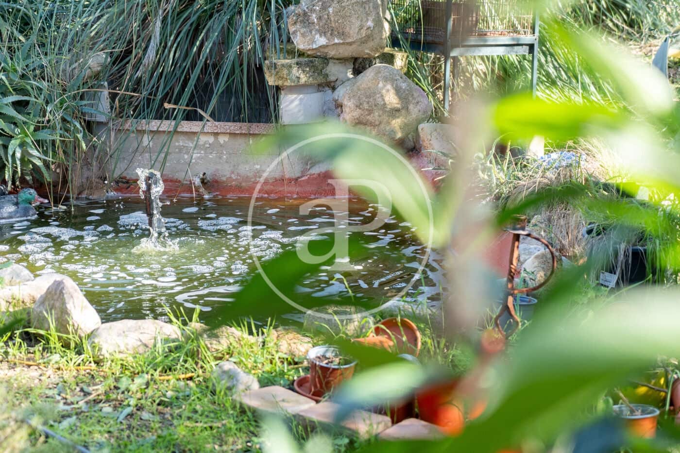 2 soverom Villa til salgs i Campanet med svømmebasseng - € 550 000 (Ref: 9535956)