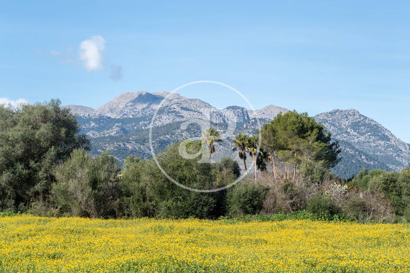 2 soverom Villa til salgs i Campanet med svømmebasseng - € 550 000 (Ref: 9535956)