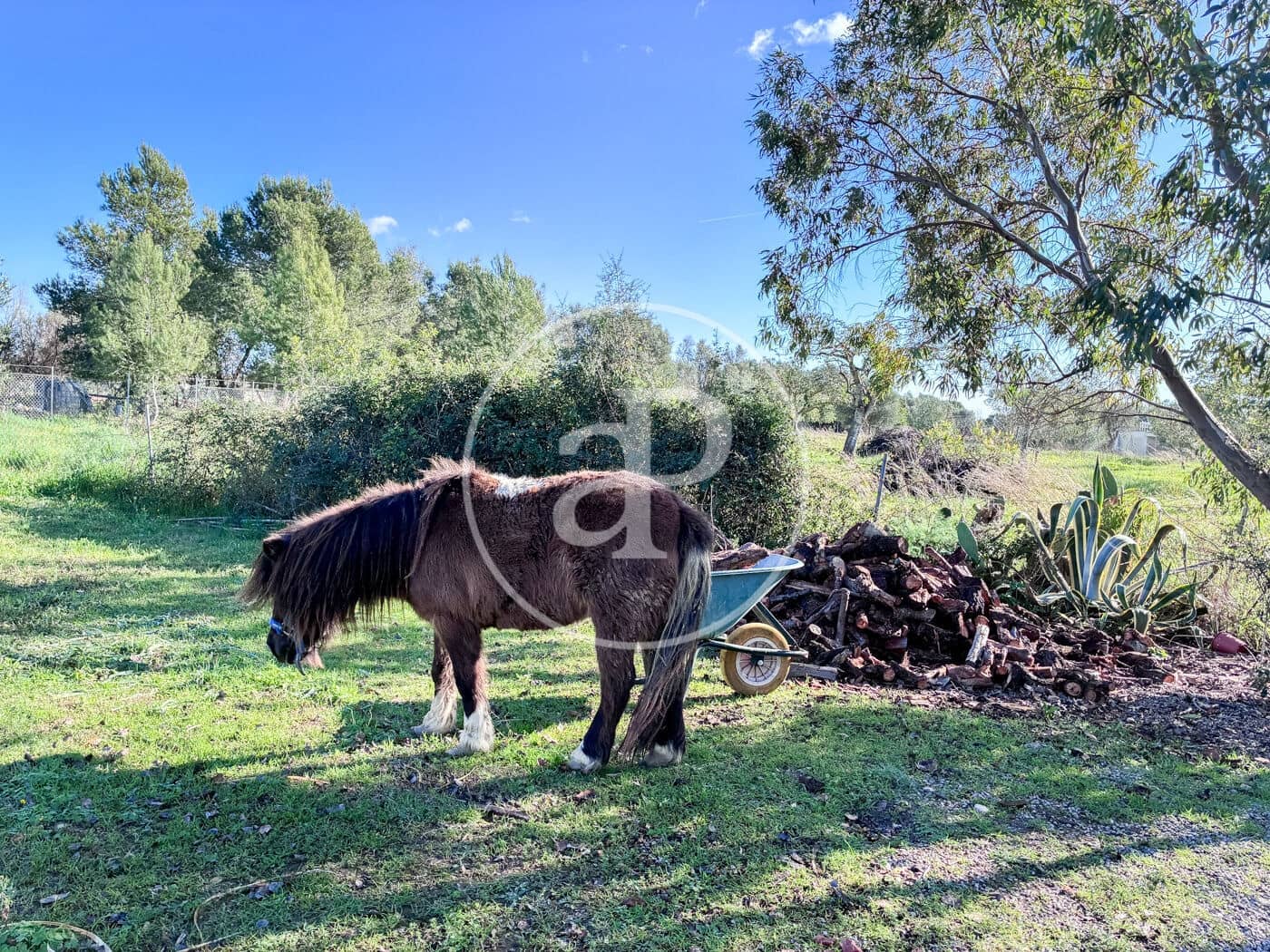 2 soverom Villa til salgs i Campanet med svømmebasseng - € 550 000 (Ref: 9535956)