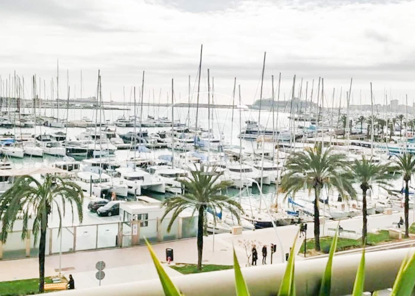 3 bedroom Apartment for rent in Palma de Mallorca - € 2,800 (Ref: 9568690)