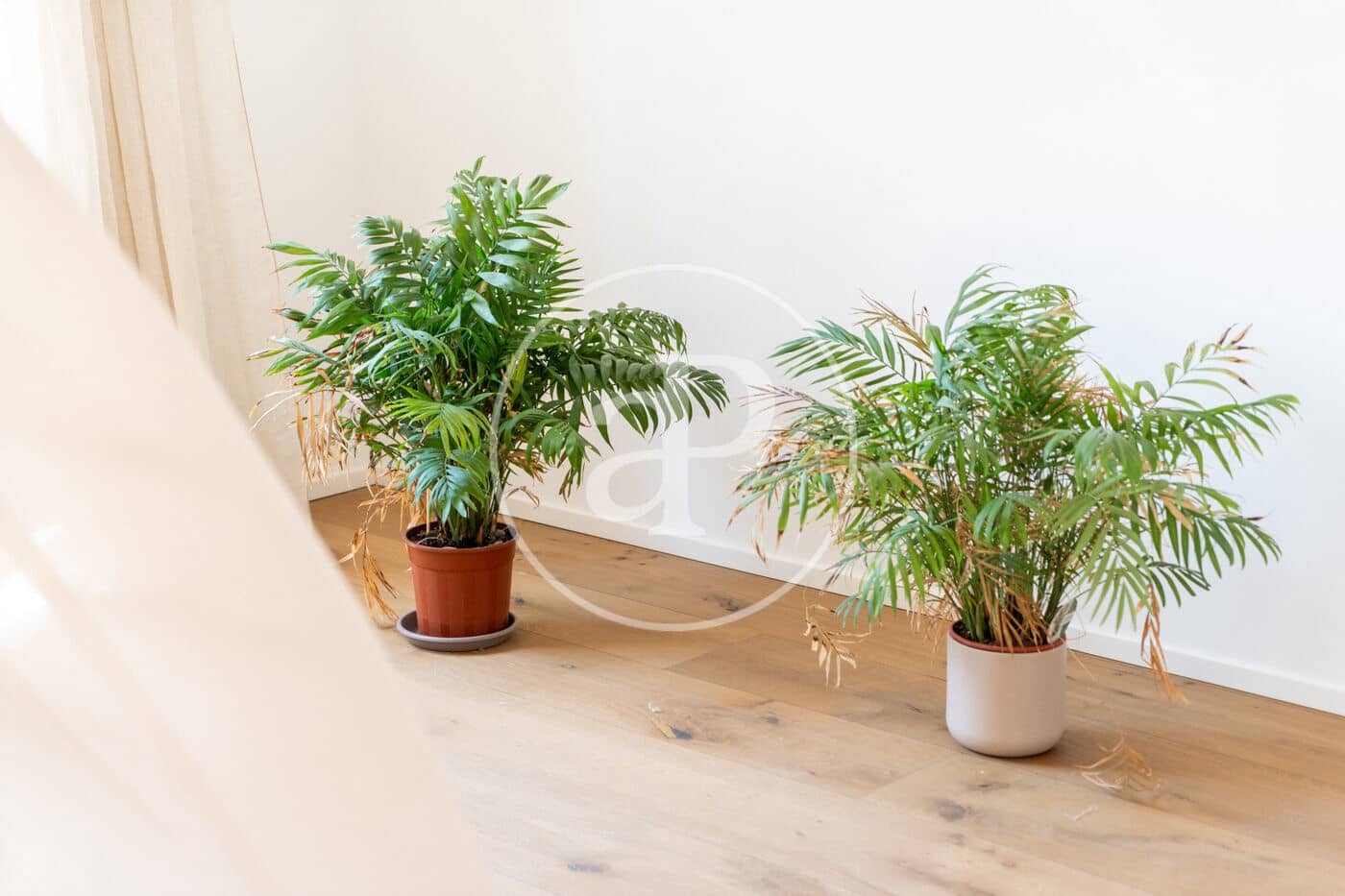 2 quarto Apartamento para venda em Palma de Mallorca - 799 000 € (Ref: 9605001)