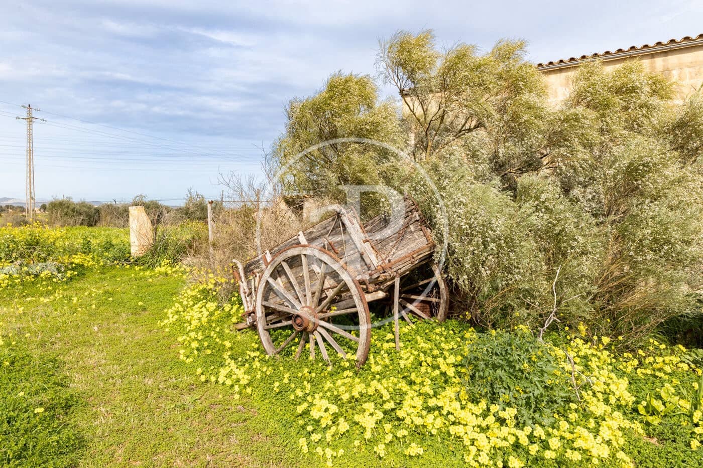 2 soverom Finca/Herregård til salgs i Campos - € 441 000 (Ref: 9608095)