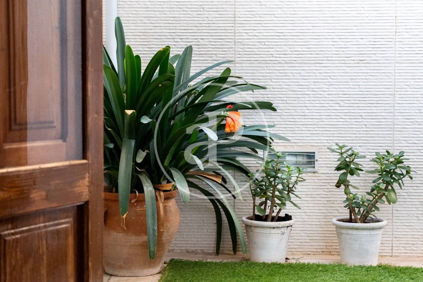 3 soveværelse Lejlighed til leje i Palma de Mallorca - € 1.800 (Ref: 9625955)