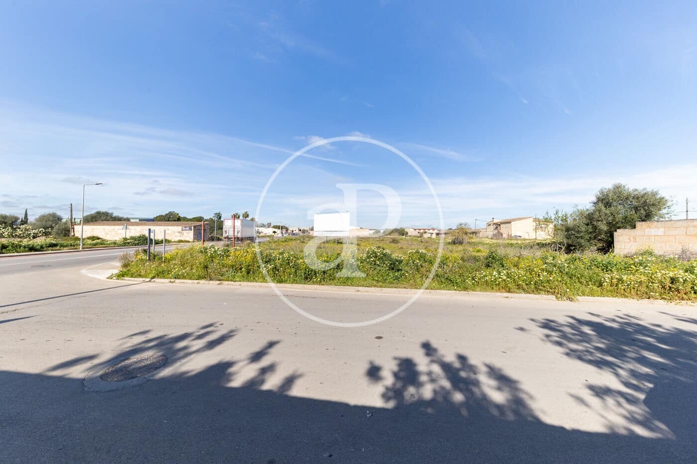 Terreno Non Edificato in vendita in Campos - 530.000 € (Rif: 9648154)