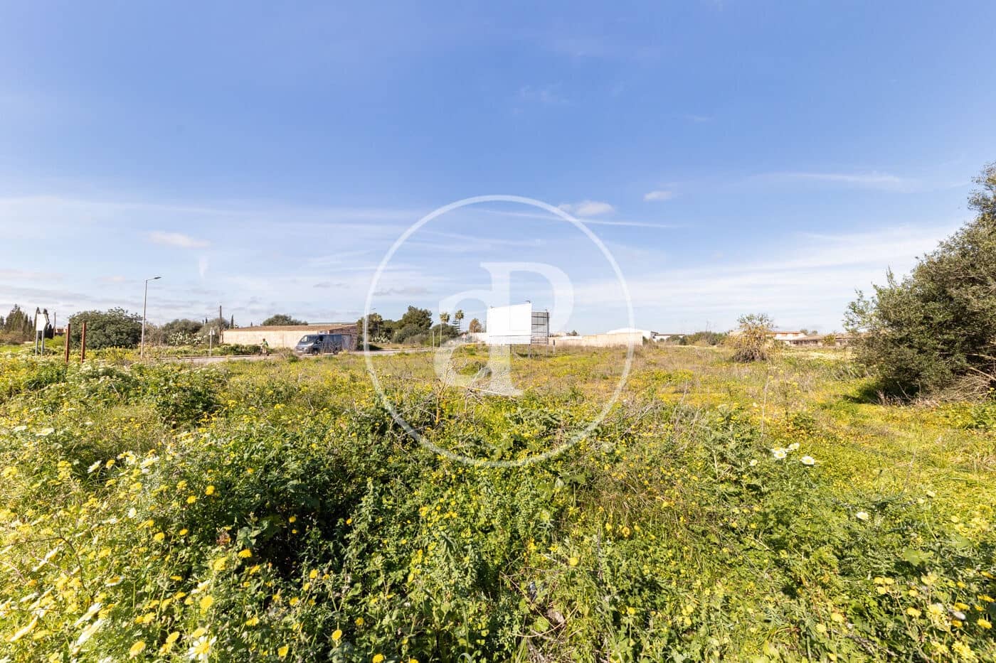 Terreno Non Edificato in vendita in Campos - 530.000 € (Rif: 9648154)