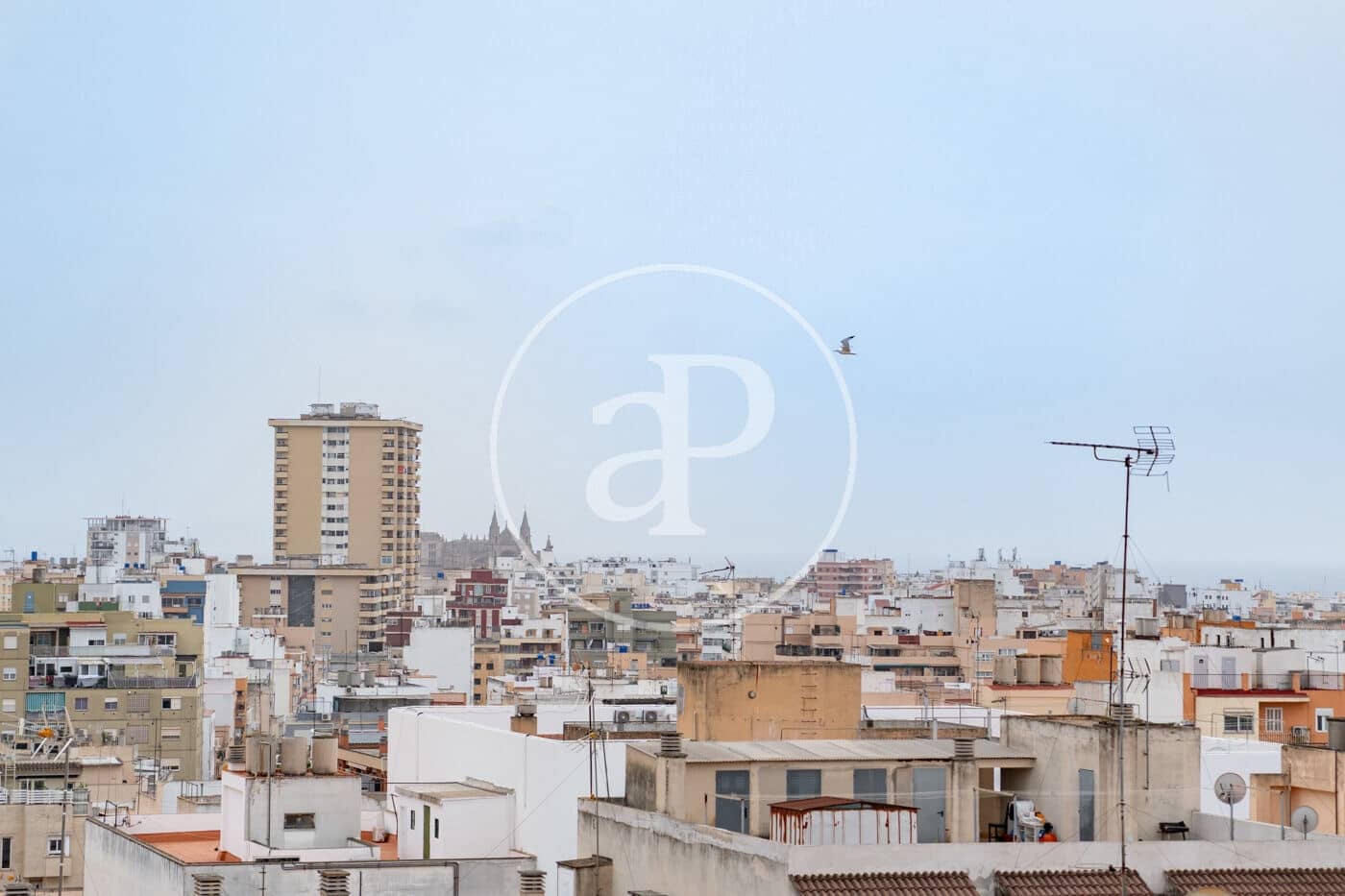 3 camera da letto Appartamento da affittare in Palma de Mallorca - 2.500 € (Rif: 9666527)