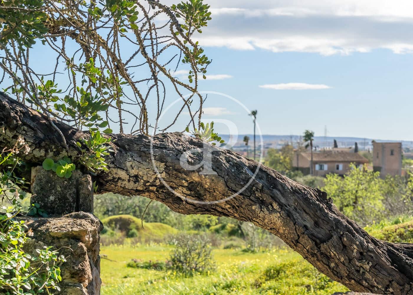 4 makuuhuone Huvila myytävänä paikassa Son Ferriol - 1 390 000 € (Ref: 9677504)