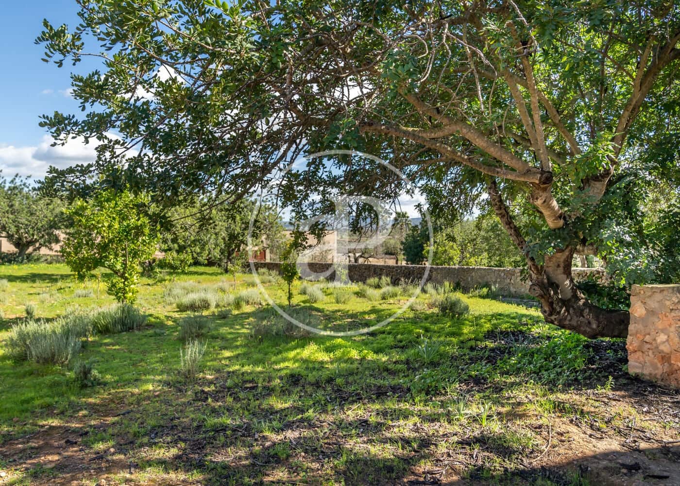 4 makuuhuone Huvila myytävänä paikassa Son Ferriol - 1 390 000 € (Ref: 9677504)