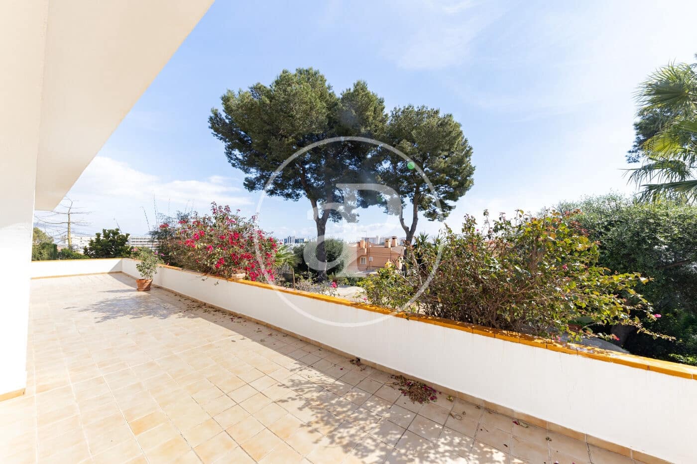 2 bedroom Apartment for rent in Palmanova - € 1,700 (Ref: 9686455)