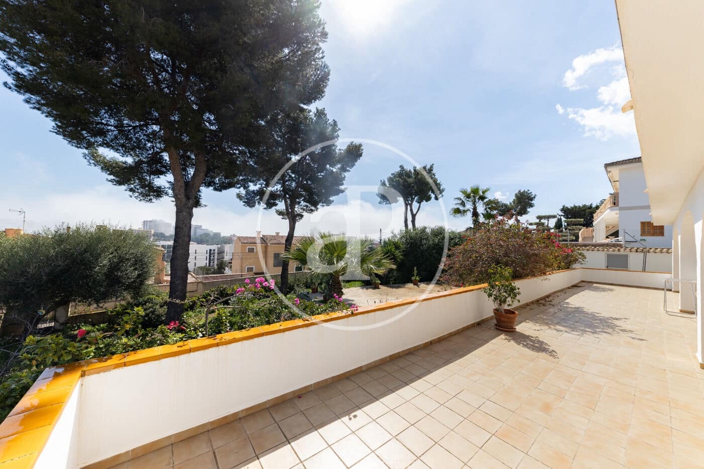 2 bedroom Apartment for rent in Palmanova - € 1,700 (Ref: 9686455)