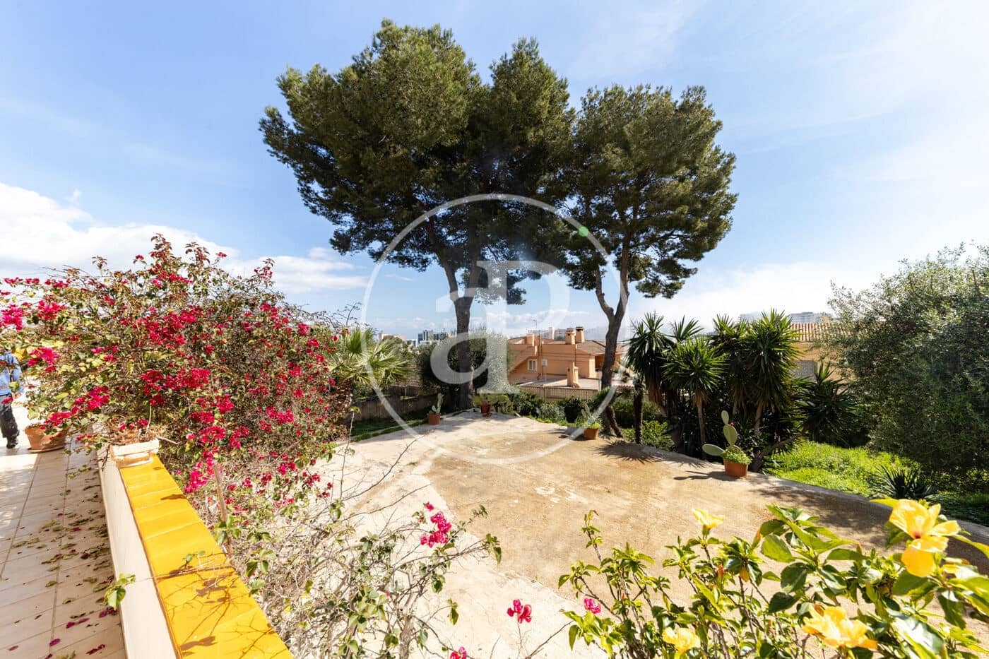 2 bedroom Apartment for rent in Palmanova - € 1,700 (Ref: 9686455)