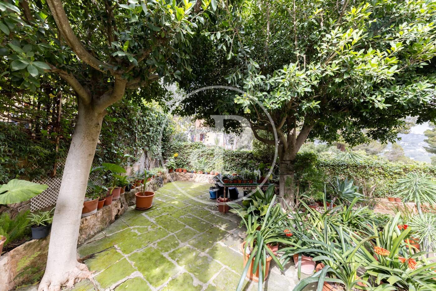 5 quarto Moradia para venda em Cas Catala com piscina - 2 800 000 € (Ref: 9686456)