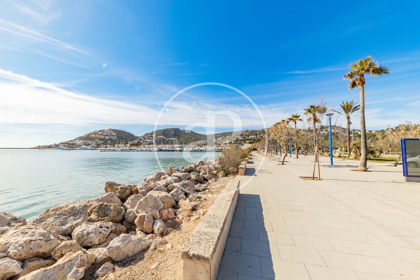 2 soverom Leilighet til leie i Puerto de Andratx - € 1 500 (Ref: 9690633)