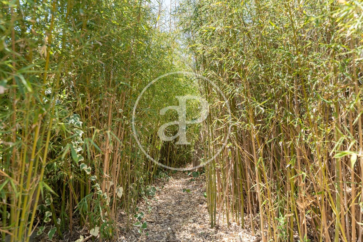 6 slaapkamer Villa te koop in Son Sardina met zwembad - € 2.400.000 (Ref: 9711991)