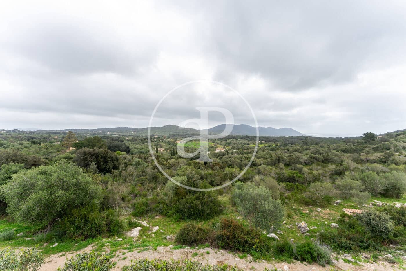 5 quarto Moradia para arrendar em Arta com piscina - 25 000 € (Ref: 9752050)