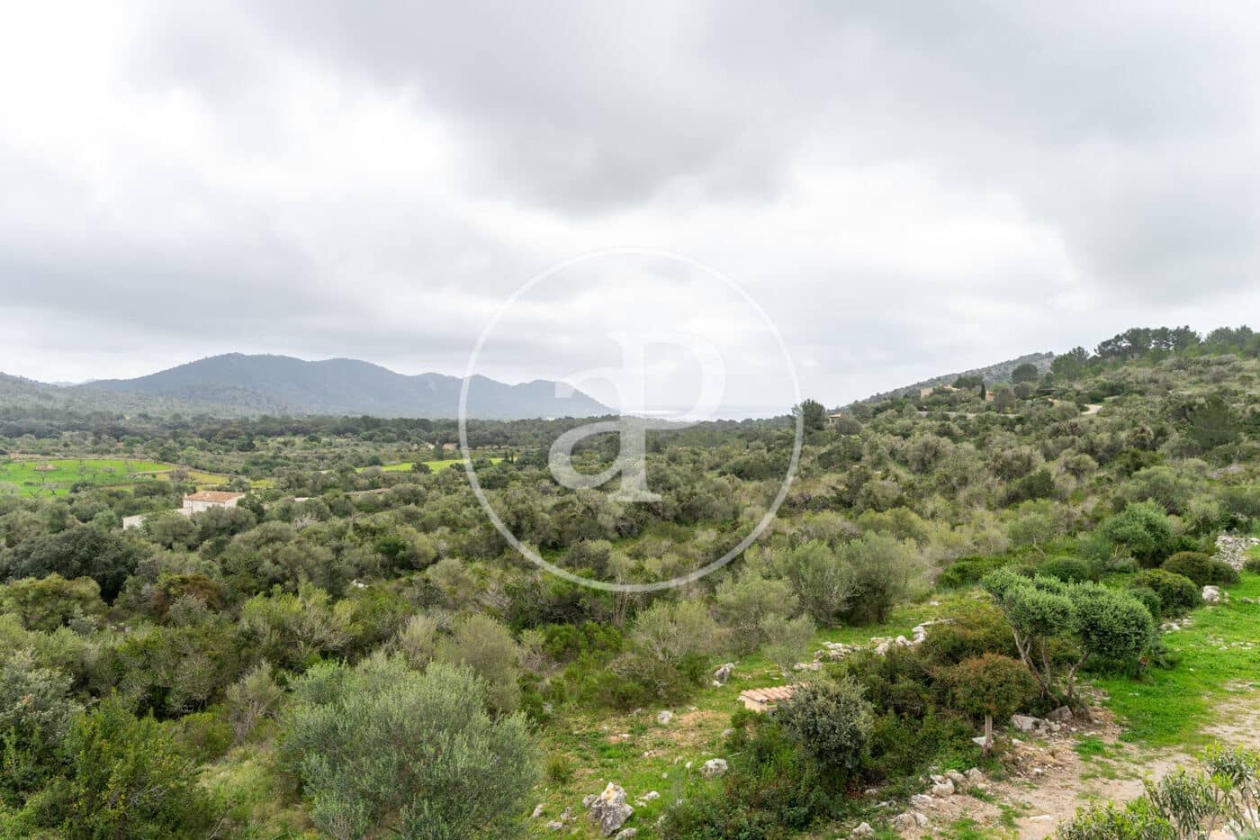 5 quarto Moradia para arrendar em Arta com piscina - 25 000 € (Ref: 9752050)