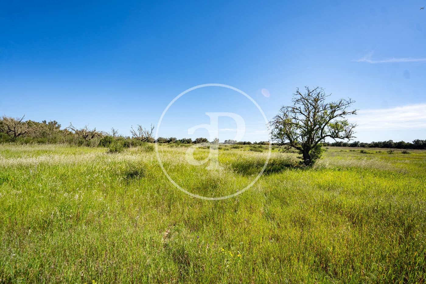 Grond te koop in Binissalem - € 329.900 (Ref: 9778162)