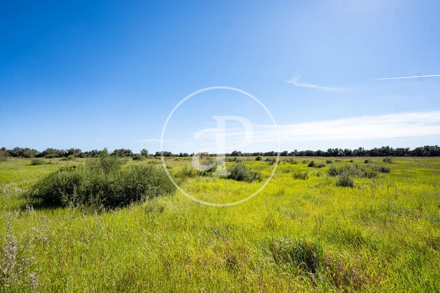 Grond te koop in Binissalem - € 329.900 (Ref: 9778162)