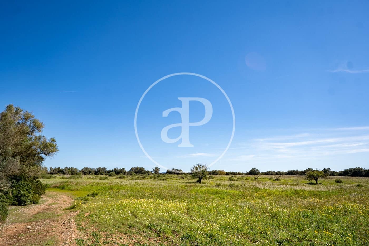 Grond te koop in Binissalem - € 329.900 (Ref: 9778162)