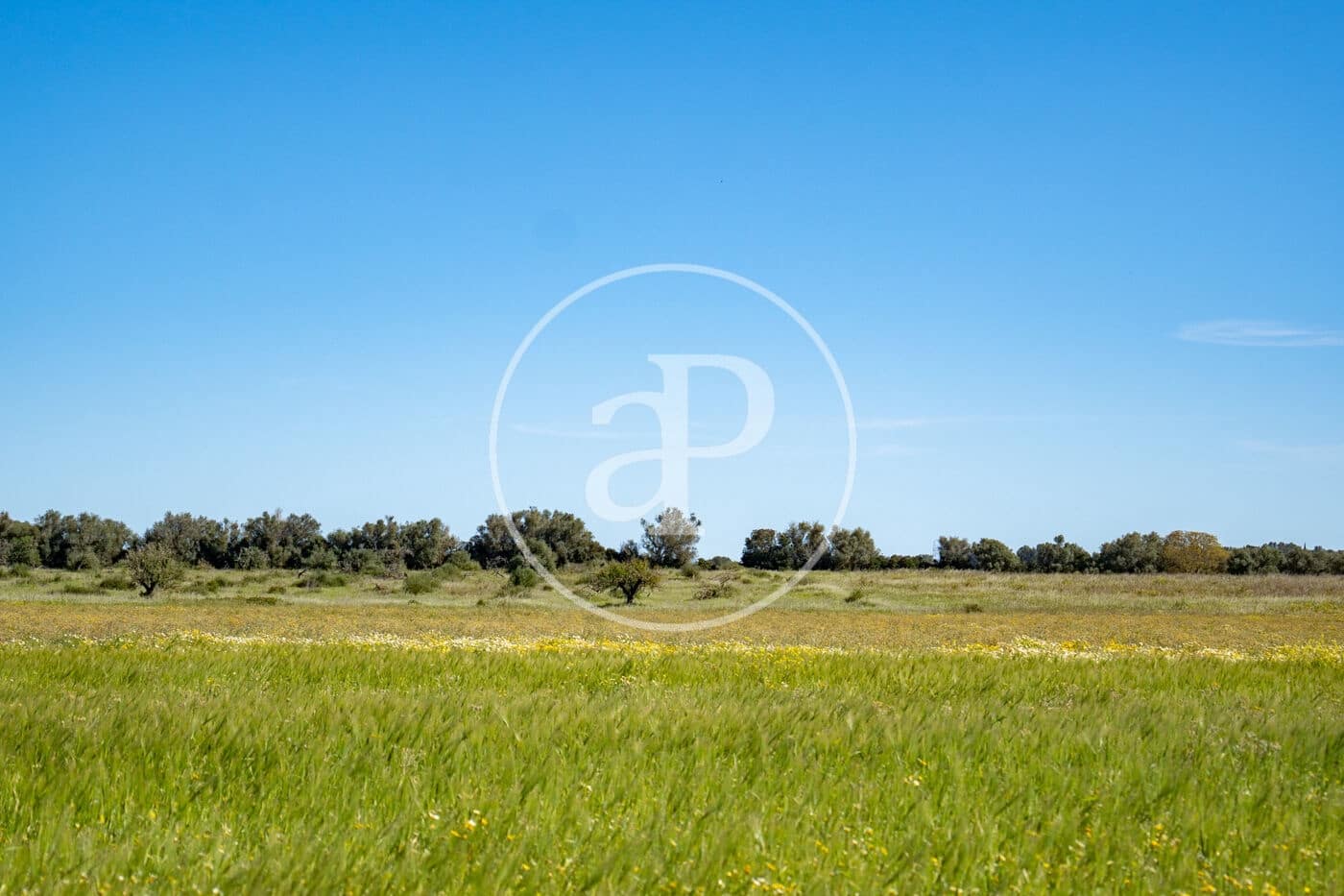 Grond te koop in Binissalem - € 329.900 (Ref: 9778162)