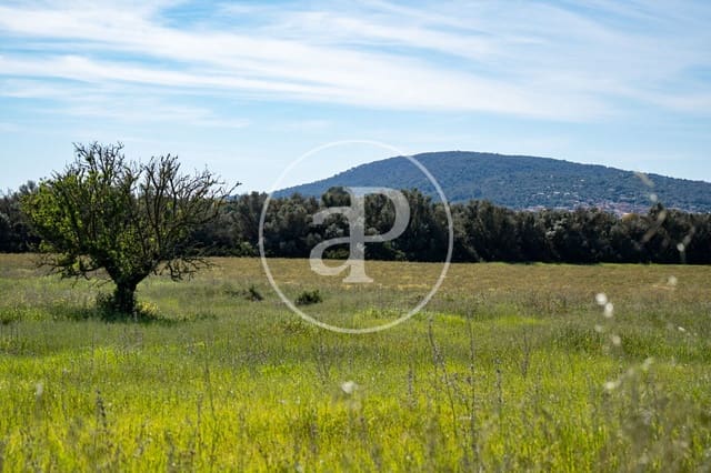 Grond te koop in Binissalem - € 329.900 (Ref: 9778162)