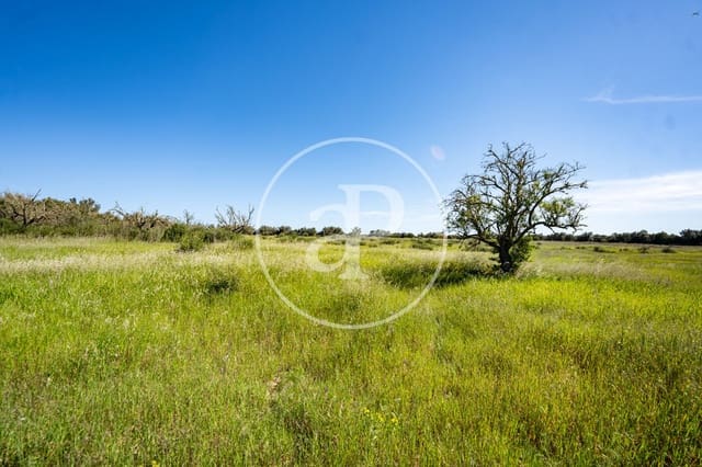 Grond te koop in Binissalem - € 329.900 (Ref: 9778162)