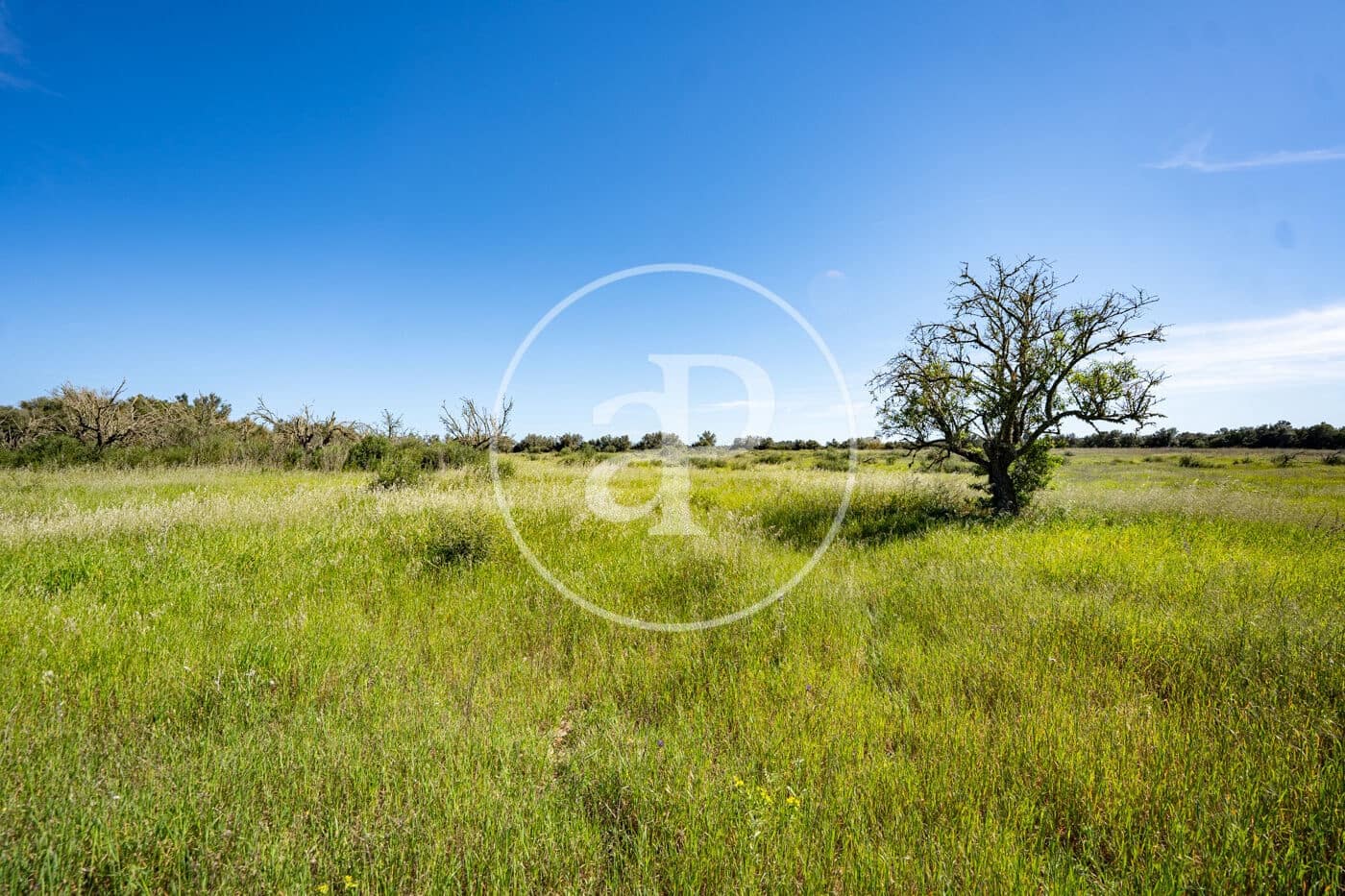 Grond te koop in Binissalem - € 329.900 (Ref: 9778162)