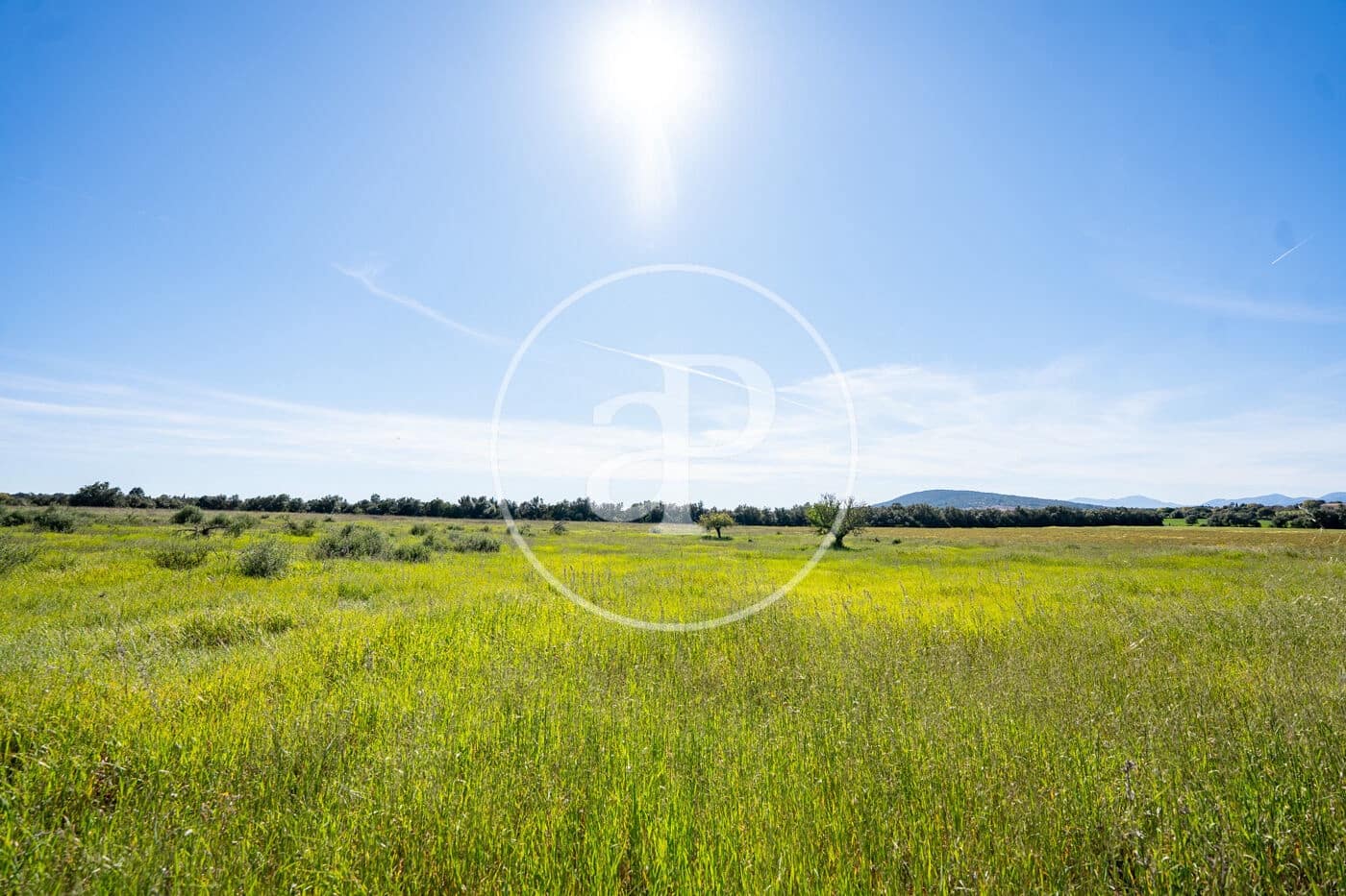 Grond te koop in Binissalem - € 329.900 (Ref: 9778162)