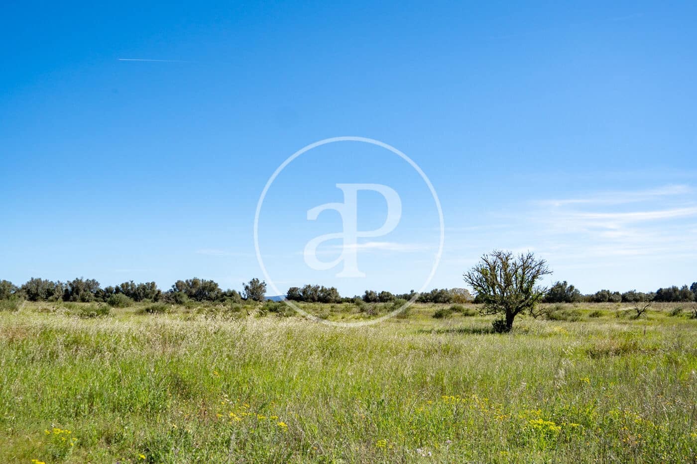 Grond te koop in Binissalem - € 329.900 (Ref: 9778162)