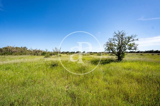 Grond te koop in Binissalem - € 329.900 (Ref: 9778162)