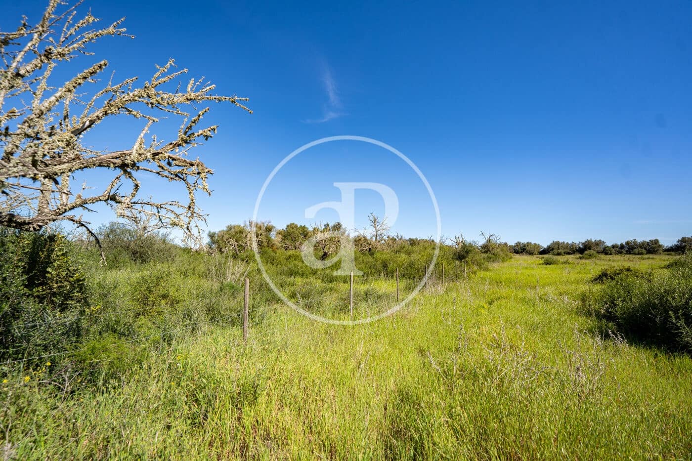 Grond te koop in Binissalem - € 329.900 (Ref: 9778162)