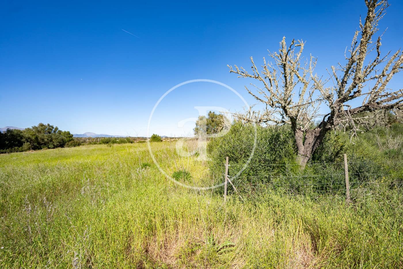 Grond te koop in Binissalem - € 329.900 (Ref: 9778162)