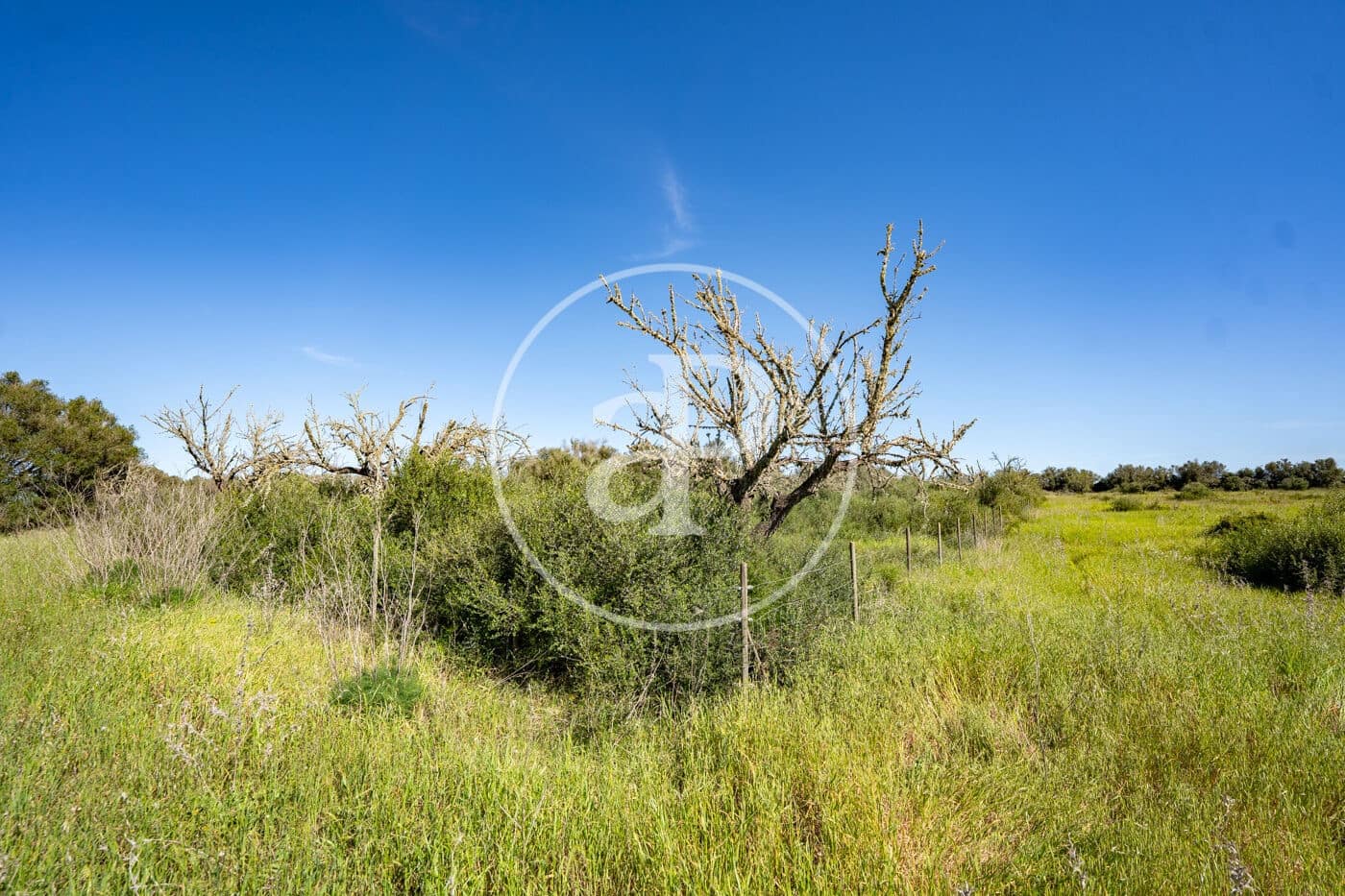 Grond te koop in Binissalem - € 329.900 (Ref: 9778162)