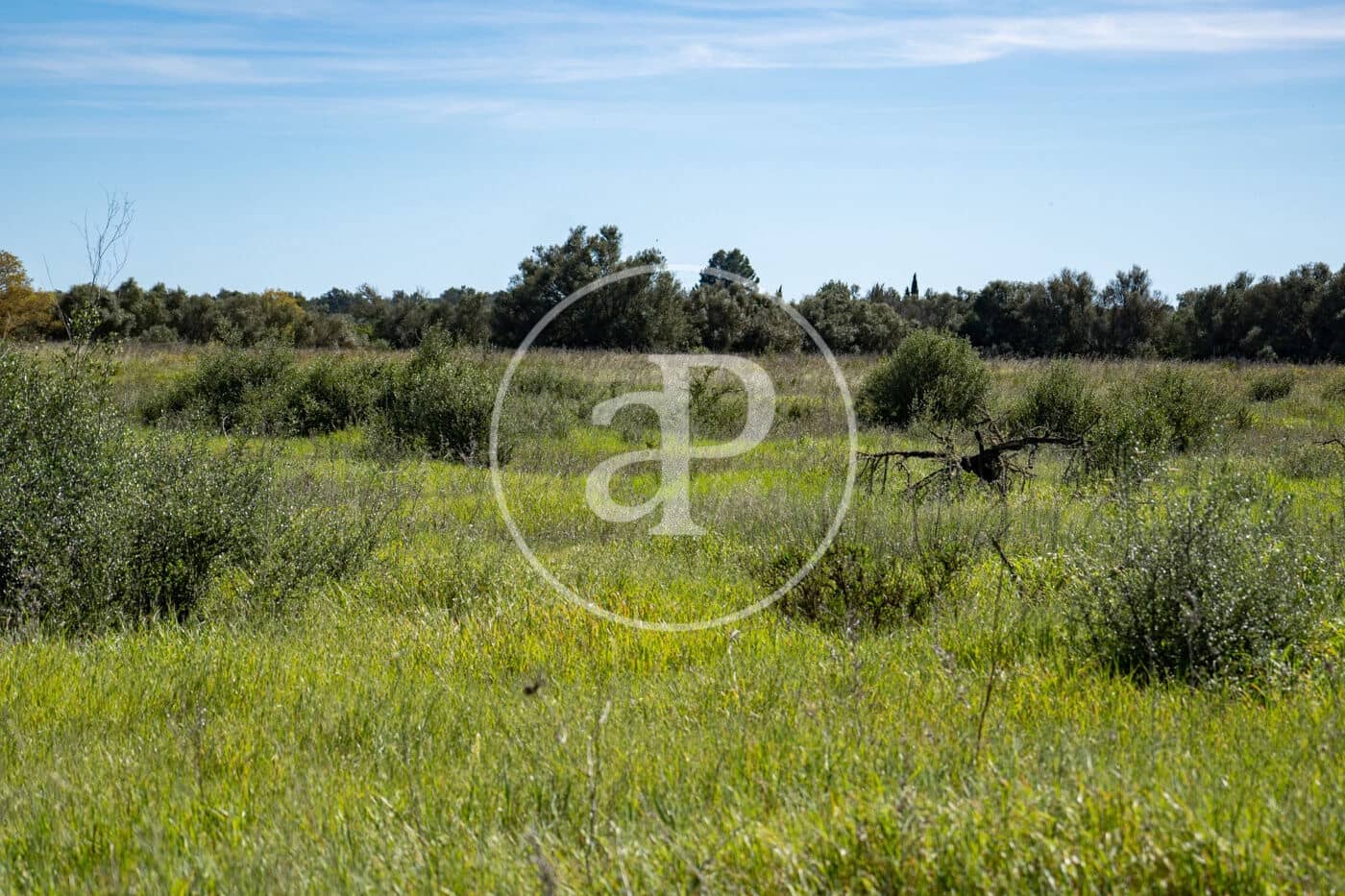 Grond te koop in Binissalem - € 329.900 (Ref: 9778162)