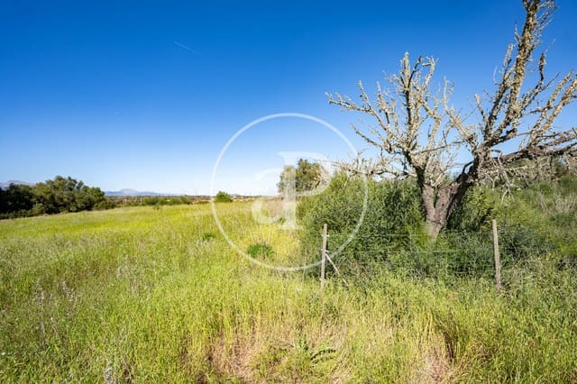 Grond te koop in Binissalem - € 329.900 (Ref: 9778162)