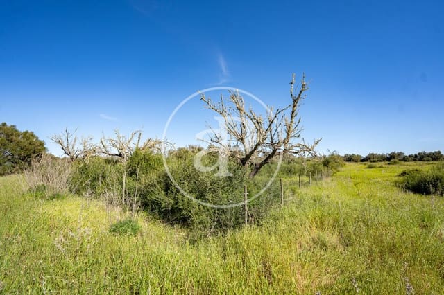 Grond te koop in Binissalem - € 329.900 (Ref: 9778162)