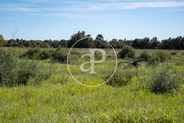 Grond te koop in Binissalem - € 329.900 (Ref: 9778162)