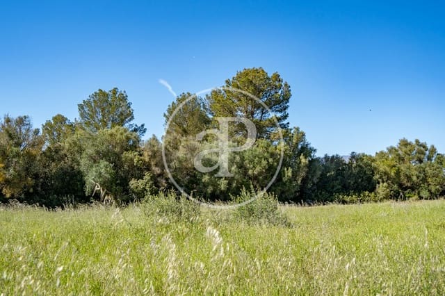 Grond te koop in Binissalem - € 329.900 (Ref: 9778162)